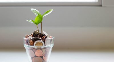 How To Grow A Business